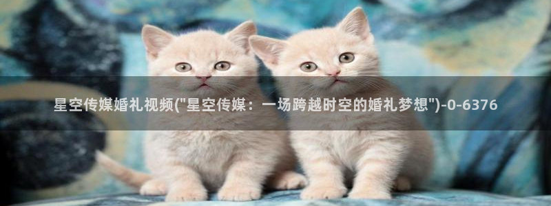 星空传媒小灰灰