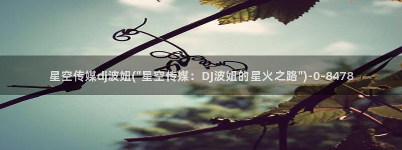 星空传媒女优名字：星空传媒dj波妞(\