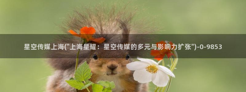 星空传媒视频完整版下载：星空传媒上海(\
