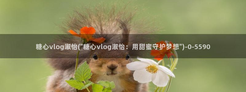 糖心vlog最新免费版内容：糖心vlog淑怡(\