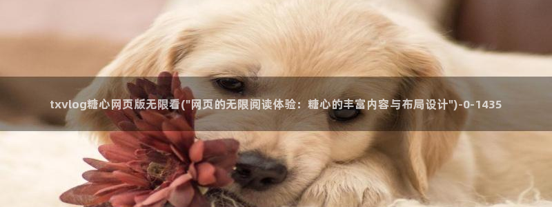 糖心vlog苹果