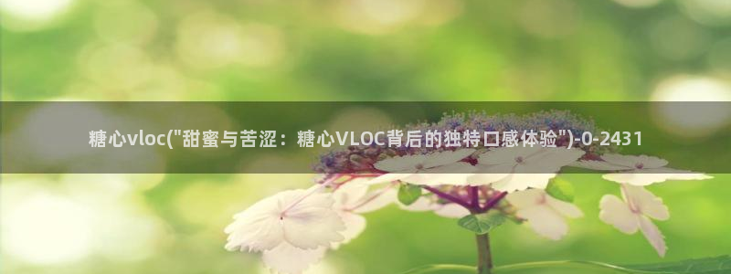 糖心传媒vlog：糖心vloc(\