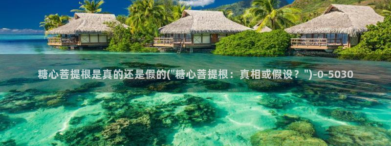 糖心vlog免费进入