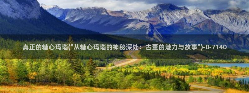 心糖vlog入口