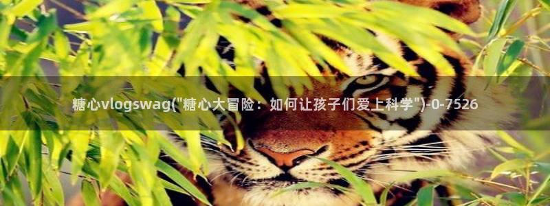 糖心vlog在线免费看