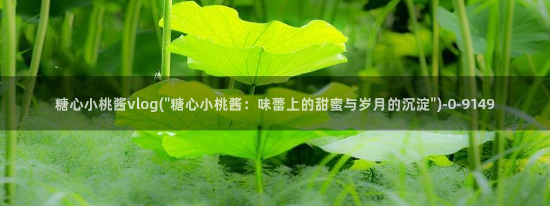 心糖vlog免费版在线观看免费