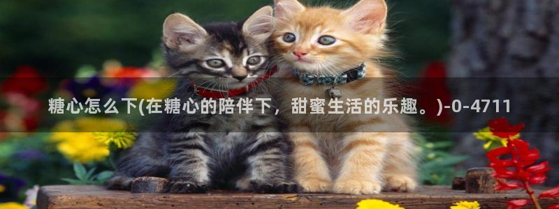 糖心少女vlog孤独的生日：糖心怎么下(在糖心的陪伴下，甜蜜