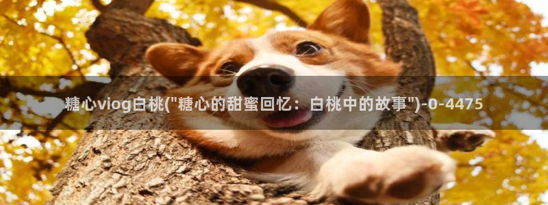 糖心vlog在线下载：糖心viog白桃(\