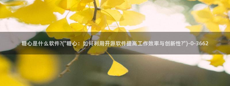 糖心vlog工作室