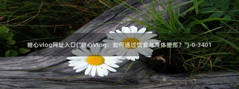 糖心vlog导航