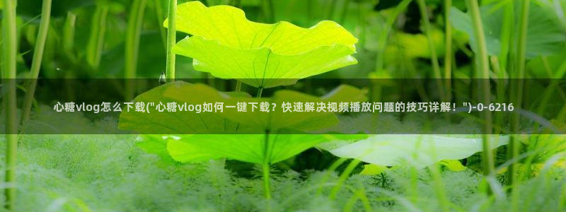 糖心vlog国产在线