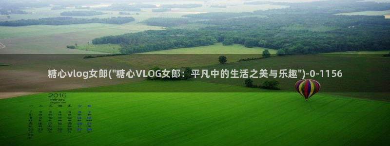 糖心视频vlog入口